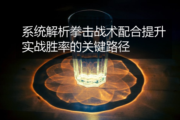 系统解析拳击战术配合提升实战胜率的关键路径