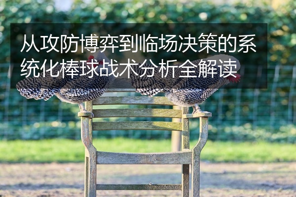 从攻防博弈到临场决策的系统化棒球战术分析全解读